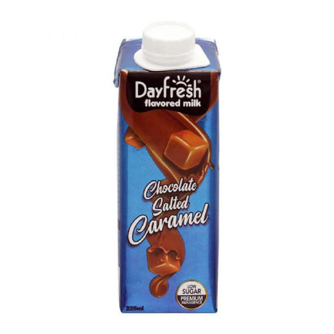DAY FRESH CHOCOLATE SALTED CARAMEL FLAVORED MILK